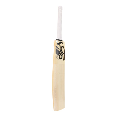 Premium Cricket Equipment and Gear by Kookaburra Sports India ...